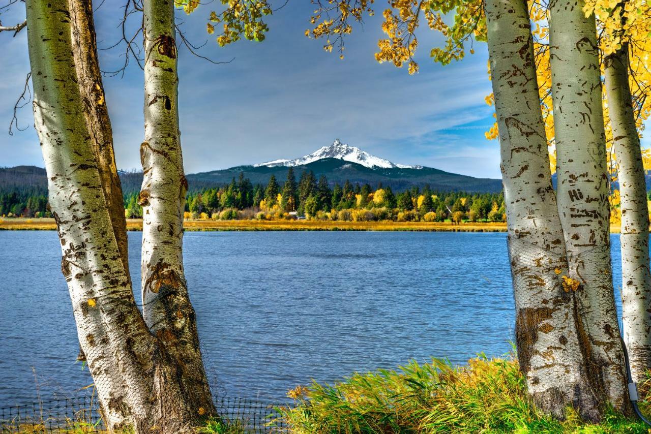 西斯特斯Black Butte Ranch: Partridge Foot Cabin Lot #Rr83别墅 外观 照片